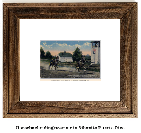 horseback riding near me in Aibonito, Puerto Rico